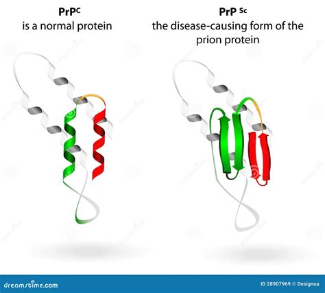 Prion .